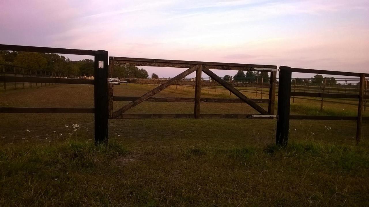 Stalemara Gard Krickan Fagelmara ภายนอก รูปภาพ